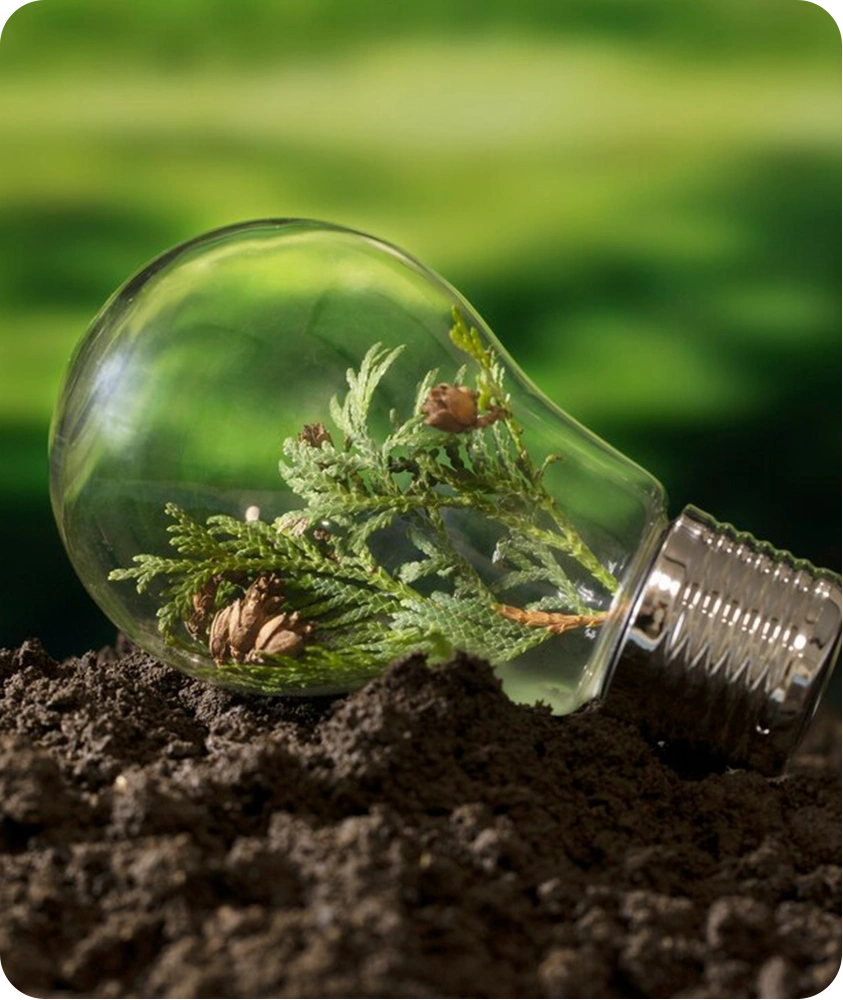 Imagem Modelação Ambiental Avançada