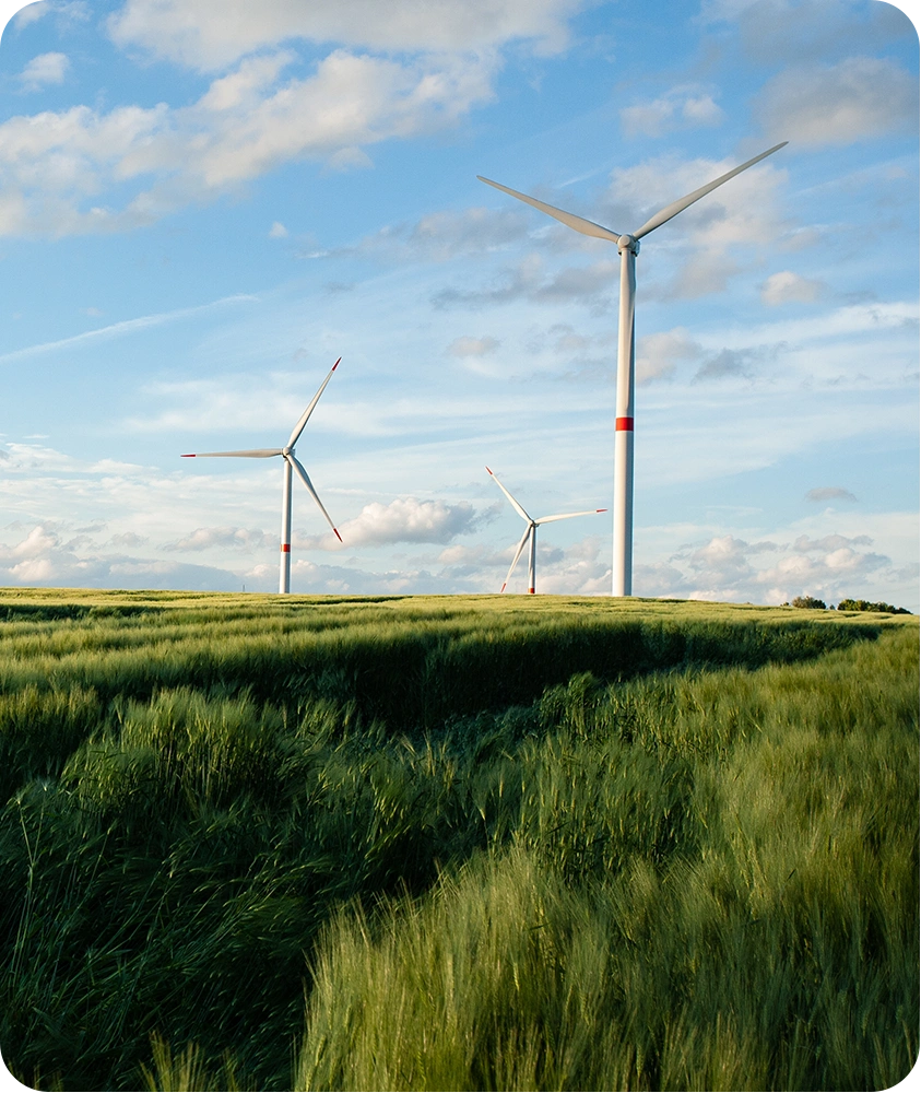 Imagem Monitorização Analise de Impacto Ambiental